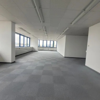 253 - PROVISIONSFREI - Helle Bürofläche (240m²) - zu mieten im IKANO OFFICE PARK 2351 Wiener Neudorf - Bild 2