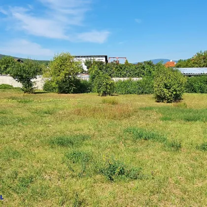 sonniger Baugrund für Einfamilienhaus - Bild 3