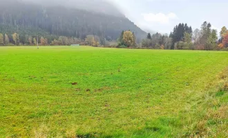 Gewerbe-Grund nahe Feldkirchen. - Flexible Größen ab 1.000 m² für ihren Standort. - Voll erschlossen.