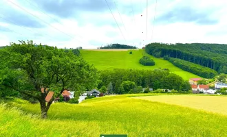 BIETERVERFAHREN - BAUBEWILLIGT - DOPPELHAUSPROJEKT ODER EINFAMILIENHAUS!