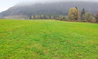 Gewerbe-Grund nahe Feldkirchen. - Flexible Größen ab 1.000 m² für ihren Standort. - Voll erschlossen.