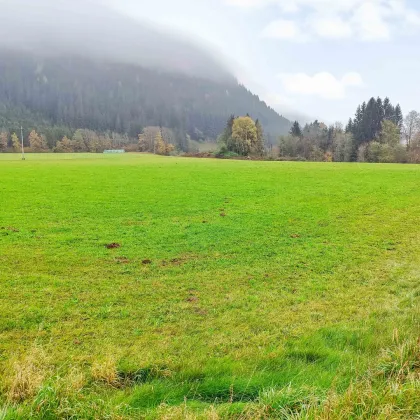 Gewerbe-Grund nahe Feldkirchen. - Flexible Größen ab 1.000 m² für ihren Standort. - Voll erschlossen. - Bild 2