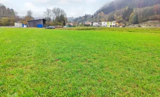 Gewerbe-Grund nahe Feldkirchen. - Flexible Größen ab 1.000 m² für ihren Standort. - Voll erschlossen.