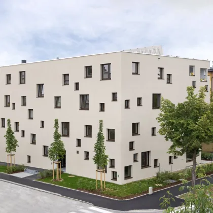 Neubau! Helle und moderne Tiefgaragenplätze (4 Stk.) im Zentrum von Wels zu verkaufen! Fußläufig erreichen Sie den Hauptbahnhof Wels, sowie das Klinikum Wels-Grieskirchen! Provisionsfrei direkt vom Bauträger! - Bild 2