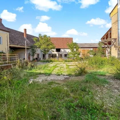 Große Chance! - Über 5.750 m² Grundstück + Wohnhaus, Hof- & Nebengebäude. - Nur 5 Min. vor Horn. - Bild 2