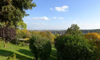 Genug Platz für Erholung - Parkliegenschaft mit Fernblick!