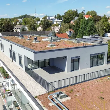 Exklusives Penthouse mit großzügiger Dachterrasse in Linzer Bestlage zu verkaufen! - Bild 2