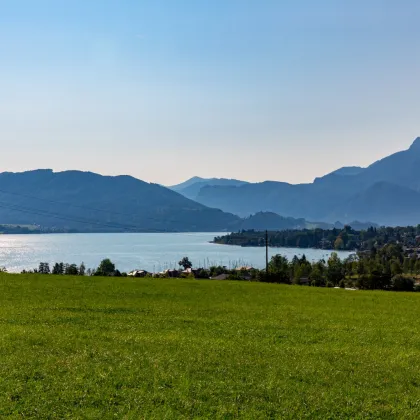 Ausblicksgrundstück in Mondsee zu verkaufen - Bild 3