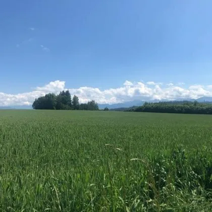 NEUER PREIS Baugründe mit herrlicher Aussicht! Nur noch ein Grundstück zu haben!!! - Bild 3