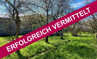 ERFOLGREICH VERMITTELT!!!