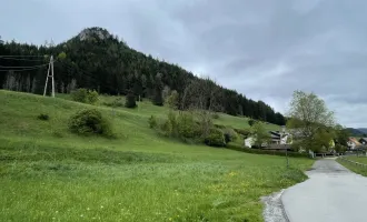 NEUBERG AN DER MÜRZ/SCHENKFELD - ZENTRAL GELEGENE BAURECHTSGRÜNDE