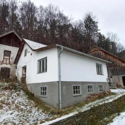 Nähe Kirchschlag: 2 Häuser (Haus 1 zum Fertigstellen, Haus 2 zum Sanieren mit Stadl) - Bild 2