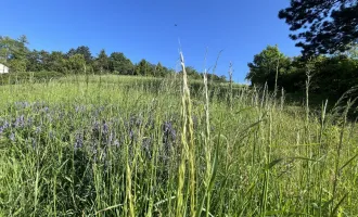 KLOSTERNEUBURG-WEIDLING - EXKLUSIVER VILLENBAUGRUND MIT BAUBEWILLIGUNG