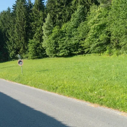 Erhabene Lage: traumhafter Baugrund am Waldesrand mit Weitblick - Bild 2