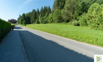 Erhabene Lage: traumhafter Baugrund am Waldesrand mit Weitblick