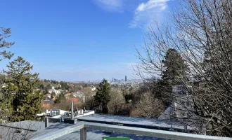 PENTHOUSE LIVING - ATEMBERAUBENDER WIENBLICK - DREI RIESEN TERRASSEN - ERSTBEZUG!