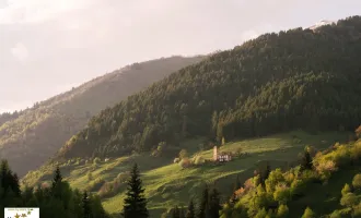 Grünland mit Zukunftswert in Aussichtslage