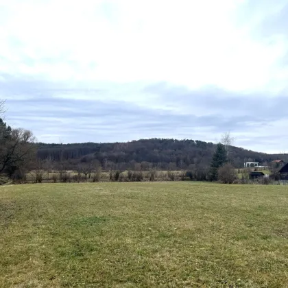 ++ DORF - LEBEN  ++  Reinersdorf - großes Baugrundstück in beschaulicher Ortslage mit schönem Blick auf die Dorfidylle. - Bild 2