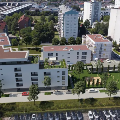 Neubau - 3 Zimmer Gartenwohnung - Wels - Bild 3