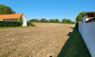 Herrliche Landidylle im wunderschönen Weinviertel!