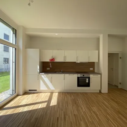 Vermietete Anlegerwohnung mit 4 Zimmern & 281 m² Garten *provisionsfrei* - Bild 3