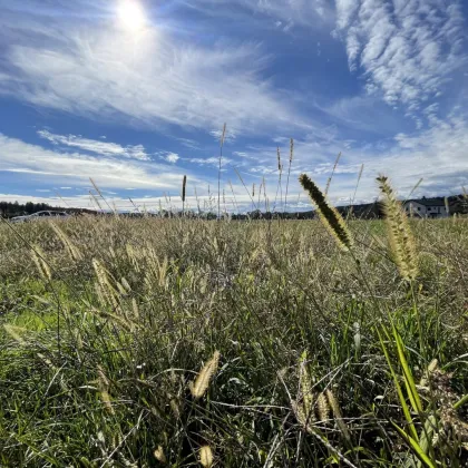 FLACHDACH: Erbauen Sie sich Ihr Traumhaus in malerischer Landschaft - Bild 2