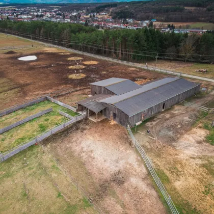 ++ RARITÄT ++  Die eigene Ranch auf knapp 10 hektar Grund und 600 m2 Stallgebäude in absoluter Traumlage - Bild 2