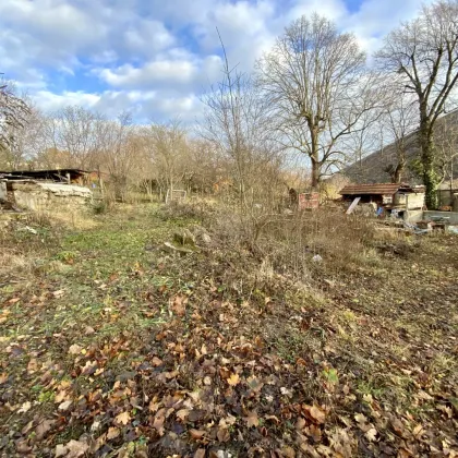 Baugrundstück am Sonnenhang der Hinterbrühl - Bild 2