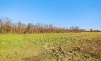 Wohn-Baugrund in Strasshof.- 15. Min zur Stadtgrenze Wien. - Ideal für Familien. - Ruhige und naturnahe Wohnlage.