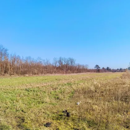 Wohn-Baugrund in Strasshof.- 15. Min zur Stadtgrenze Wien. - Ideal für Familien. - Ruhige und naturnahe Wohnlage. - Bild 2