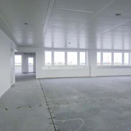 Büro 300 m2 südlich von Wien in Wr. Neudorf - Bild 2