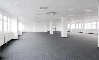 Büro 550 m2 südlich von Wien in Wr. Neudorf