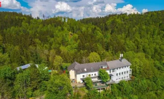 Variantenreich nutzbares alterwürdiges Hotel in absoluter Traumlage hoch über der Donau!