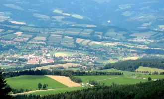 Große Liegenschaft für viele Möglichkeiten in Vorau