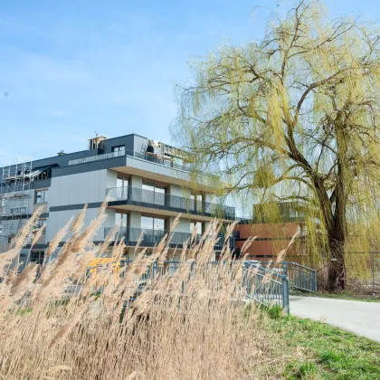 BESONDERS! LEBEN IN MITTEN DER NATUR - UNWEIT VON WIEN - BELAIR - Bild 2