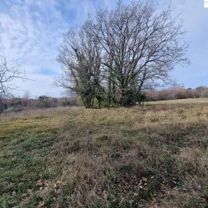 ANLEGER AUFGEPASST! Bauland für touristische Zwecke - 320 Meter vom Meer entfernt - Bild 3