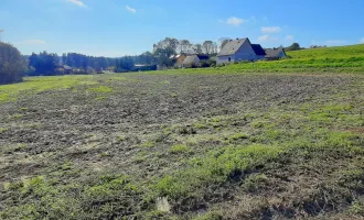 Schönes, sonniges Bauträger-Grundstück in Allerheiligen bei Wildon.