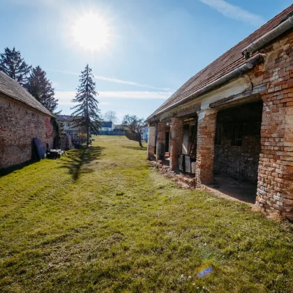 2222 Bad Pirawarth - original erhaltenes Bauernhaus mit Arkadengang, Toreinfahrt und Nebengebäuden - Bild 3