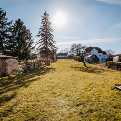 2222 Bad Pirawarth - original erhaltenes Bauernhaus mit Arkadengang, Toreinfahrt und Nebengebäuden - Bild 2