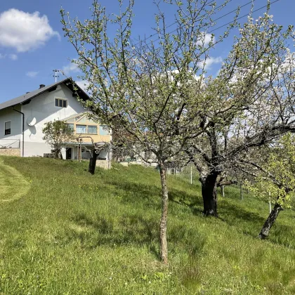 Charmanter Vierkanthof im Südburgenland - Traumhafte Landidylle in absoluter Ruhelage - Bild 2