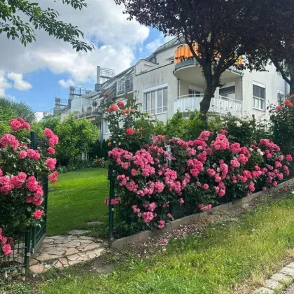 Große und helle Gartenwohnung im 1130 Bezirk - Bild 3