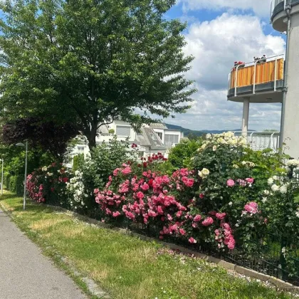 Große und helle Gartenwohnung im 1130 Bezirk - Bild 2