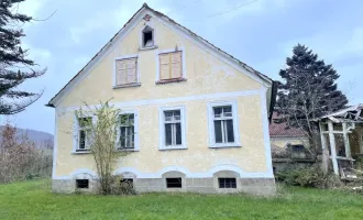 Fehring- Brunn, Herrenhaus, hohen Sanierungsbedarf, Bach, Teich , Bauernhaus, Grund ca. 27.335 m², Mühle