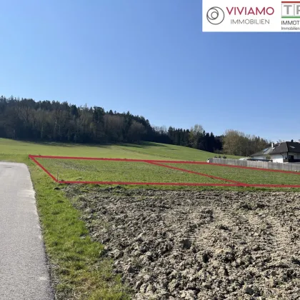 Wohnprojekt Blumenweg: Leistbare Doppelhaushälften in Kematen am Innbach! - Bild 3