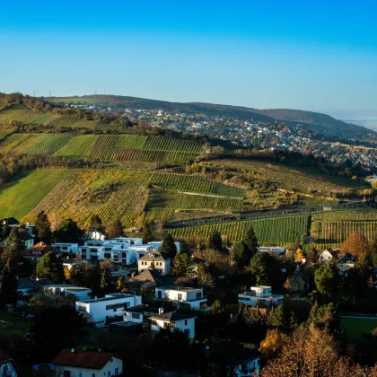 Traumhaftes Grundstück mit Bebauungstudie, Nähe Kahlenberg - Bild 2