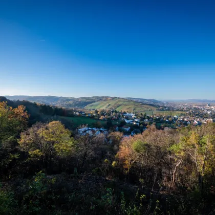 Traumhaftes Grundstück mit Bebauungstudie, Nähe Kahlenberg - Bild 3