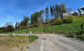 Baugrund am Waldrand mit Traumaussicht