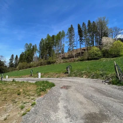 715 m² Baugrund mit wunderbarer Aussicht auf Knittelfeld - Bild 3