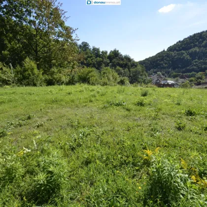 Wunderschönes Baugrundstück in Senftenberg bei Krems an der Donau - bereits aufgeschlossen - kein Bauzwang - Bild 2