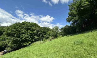 Ideales Grundstück für Einfamilienhäuser mit wunderschönen Weitblick nahe des Grazer Stadtrands am Kaiserbergs in Lannach